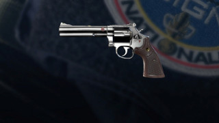 Firearm - LFP586
