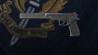 Firearm - P226 Mk 25
