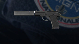 Firearm - P9
