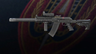 Firearm - SASG-12
