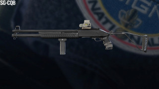 Firearm - SG CQB
